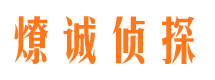 高明市调查公司